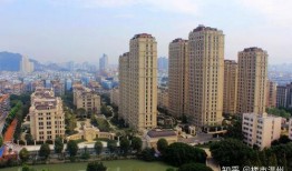 温州房产爆料视频,揭秘楼市真相，购房者必看！