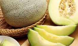 吃牛角蜜瓜视频大全集免费观看,视频大全集带你一网打尽